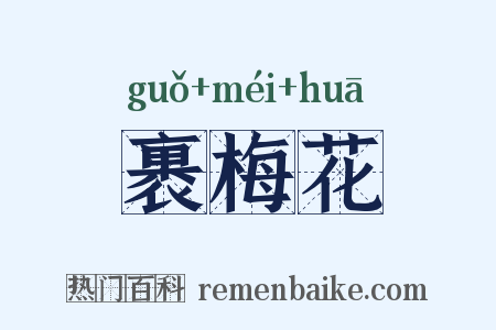 裹梅花是什么意思的图片